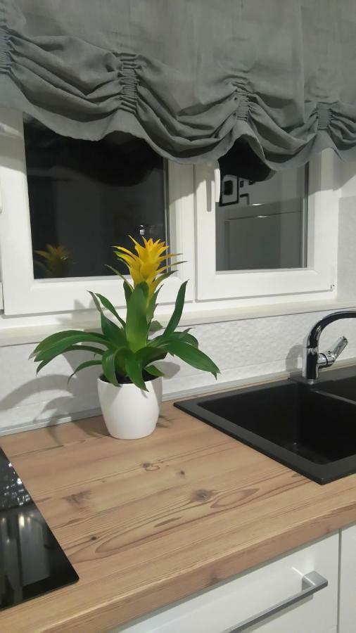 Apartment Tonka シベニク エクステリア 写真